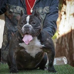 Meet your Posher, Elias